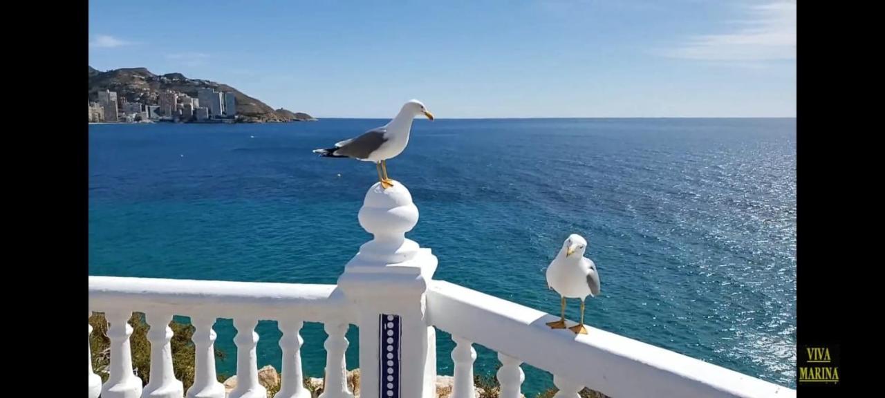 Apartamento Sun Beach بينايدورم المظهر الخارجي الصورة